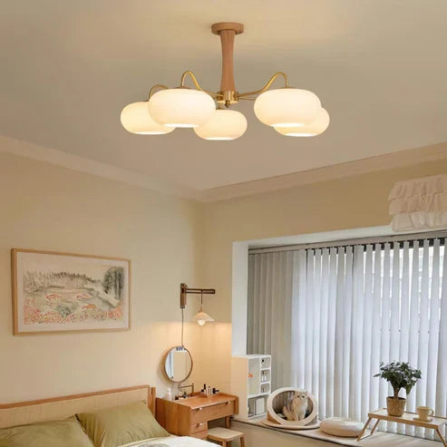 rounded-glass-chandelier-design
